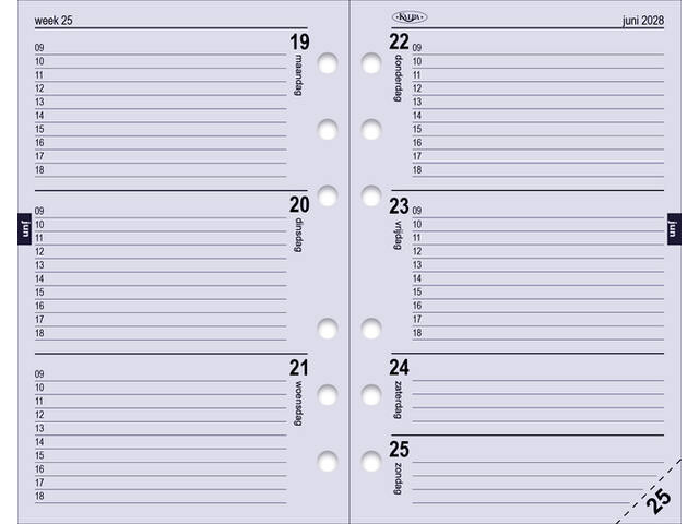 /static/uploads/pictures/large/336063p8.jpg
