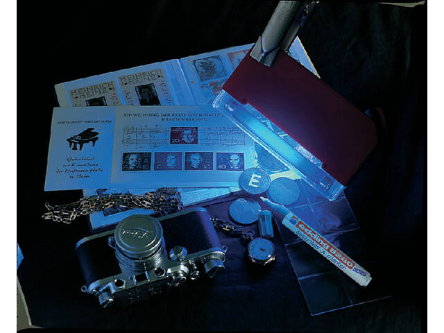 /static/uploads/pictures/large/VNKX1990.jpg
