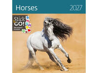 Kalender 2027 Helma 365 30x30cm paarden
