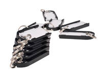 Sleutellabel Pavo Magnettag zwart 10 stuks