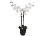 Kunstplant Mica Phalaenopsis orchideeën wit in plastic pot 79x51cm