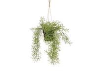 Kunstplant Mica Rhipsalis hangend in pot groen Ø9,5cm 40x20cm