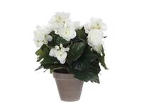 Kunstplant Mica Begonia wit in pot Stan grijs Ø25 30cm