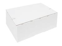 Postpakketbox IEZZY 4 305x215x110mm wit