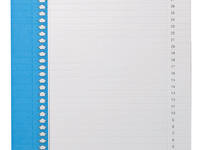 Ruiterstrook Elba Nr 0 297x6mm verticaal blauw 10 vel