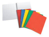 Schrift Aurora 105x160mm ruit 5x5mm 240 pagina's 60gr assorti