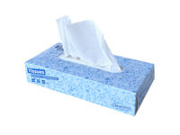 Facial tissues Cleaninq F1 2-laags 100 vel wit