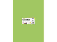 Fotokarton Folia 300gr 50x70cm 51 lichtgroen