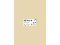 Fotokarton Folia 300gr 50x70cm 10 chamois