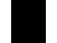Etalagekarton Folia 1-zijdig 48x68cm 380gr nr800 zwart
