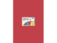 Tekenpapier Folia 50x70cm 130gram pak à 100 vel 10 kleuren