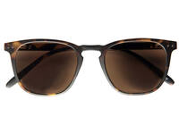 Zonnebril I Need You  +1.00 dpt Playa havanna