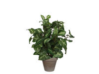 Kunstplant Mica Syngonium groen in pot Ø25 35cm