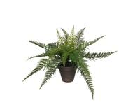 Kunstplant Mica varen groen in pot Stan grijs Ø50 38cm