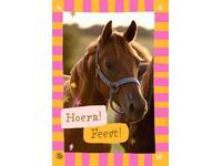 Wenskaart Hallmark uitnodiging paarden pak à 6 stuks