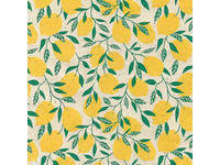 Apparaatrol Little Lemon 50cmx200m