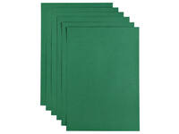 Kopieerpapier Papicolor A4 100gr 12 vel dennengroen