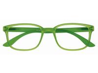 Leesbril I Need You +2.00 dtp Rainbow groen