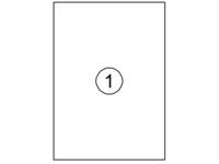 Etiket Quantore 210x297mm 100 stuks