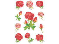 Etiket HERMA 3581 rozen