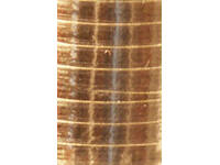 Polyband Haza 5mm x 250m metallic goud